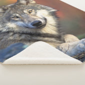 Wolf Sherpa Deken (3/4)