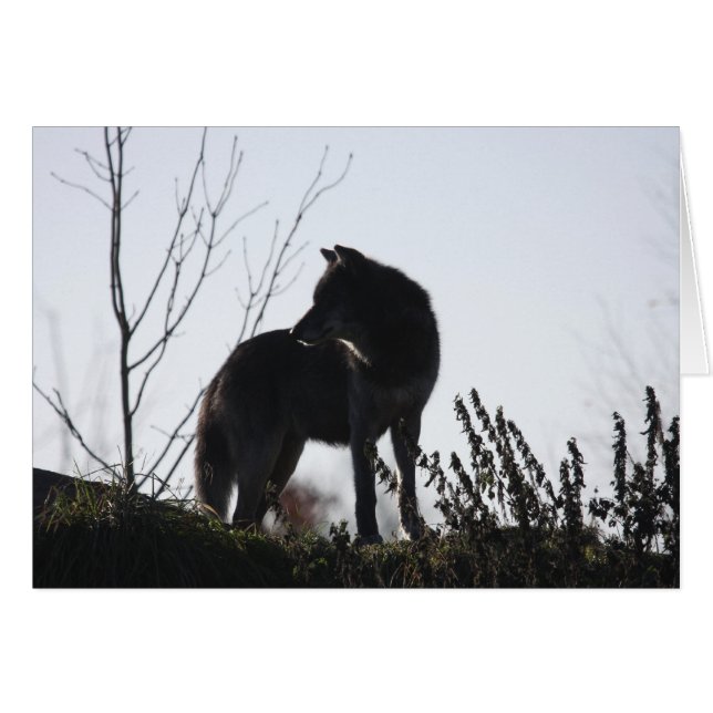 wolf silhouet (Voorkant Horizontaal)