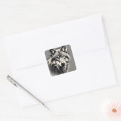 Wolf Sketch Vierkante Sticker (Envelop)