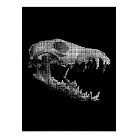 Wolf skull perfect poster (Voorkant)