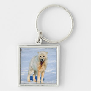 Wolf Sleutelhanger
