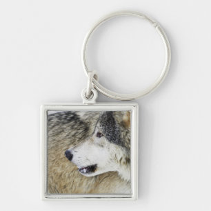 Wolf Sleutelhanger