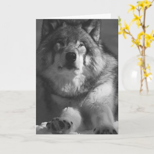 WOLF SNEEUWFOTOGRAFIE VERJAARDAG KAART (Gele Bloem)