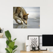 Wolf - Sneup op de kaas Poster (Thuiskantoor)