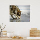 Wolf - Sneup op de kaas Poster (Keuken)