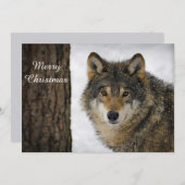Wolf Snow-boom - kerstfoto Feestdagenkaart (Voorkant / Achterkant)
