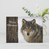 Wolf Snow-boom - kerstfoto Feestdagenkaart (Staand voorkant)