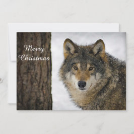 Wolf Snow-boom - kerstfoto Feestdagenkaart