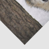 Wolf Snow-foto Tissuepapier (Detail)