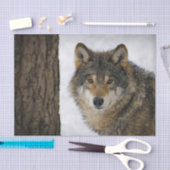 Wolf Snow-foto Tissuepapier (Craft)