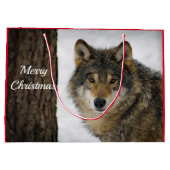 Wolf Snow-kerstfoto Groot Cadeauzakje