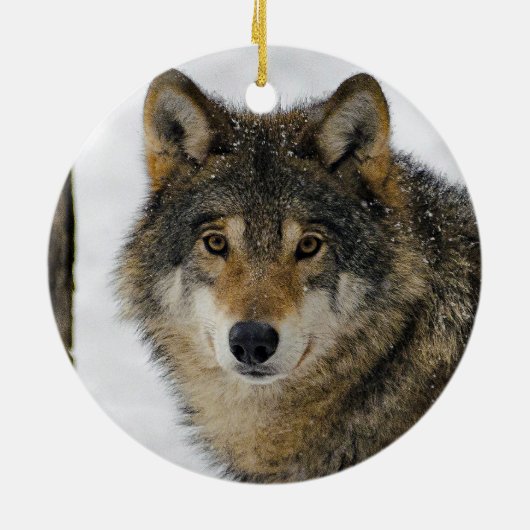 Wolf Snow Tree Photo Keramisch Ornament (Achterkant)