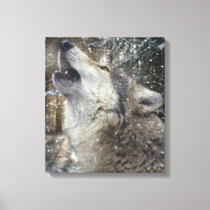 Wolf Song - Pastel Canvas Afdruk
