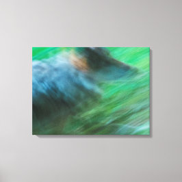 Wolf Speed 24" x 18", 1,5", Enkel Canvas Afdruk