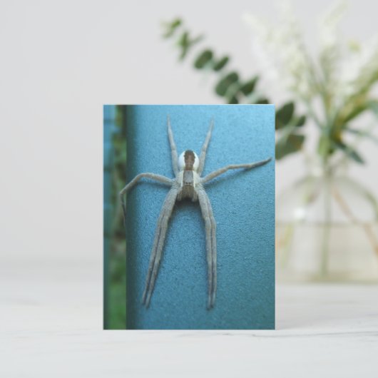 Wolf Spider 165 ~ briefkaart (Staand voorkant)