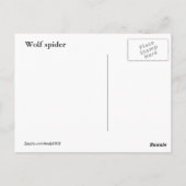 Wolf Spider 165 ~ briefkaart (Achterkant)