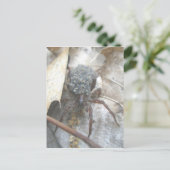 Wolf Spider Babies Hoesje Briefkaart (Staand voorkant)