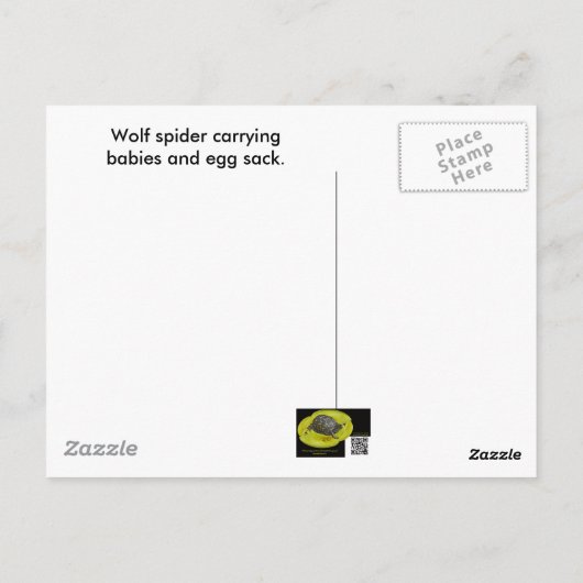 Wolf Spider Babies Hoesje Briefkaart (Achterkant)