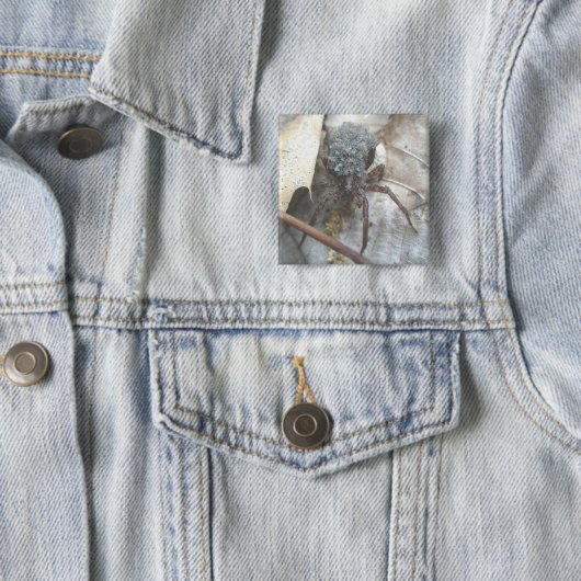 Wolf Spider Babies Hoesje Button (In situ)