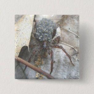 Wolf Spider Babies Hoesje Button