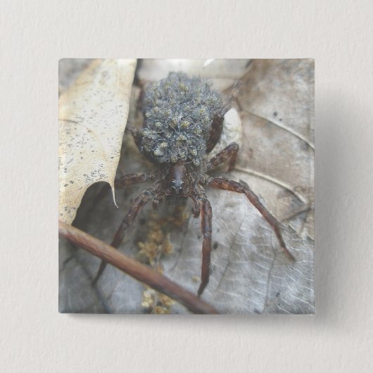 Wolf Spider Babies Hoesje Button (Voorkant)