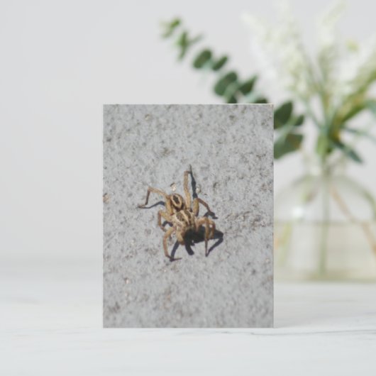 Wolf Spider Briefkaart (Staand voorkant)