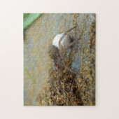 Wolf Spider met Egg Sac Foto Puzzle and Gift Box Legpuzzel (Verticaal)