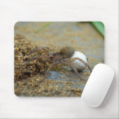 Wolf Spider met eierschaafmuis Muismat (Met muis)