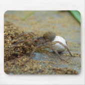 Wolf Spider met eierschaafmuis Muismat (Voorkant)