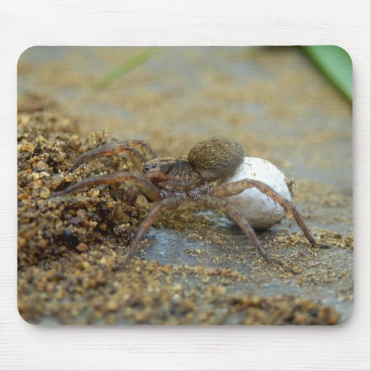 Wolf Spider met eierschaafmuis Muismat (Voorkant)
