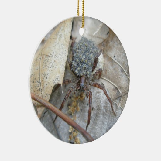 Wolf Spider met Spiderlings en Egg Hoesje Ornament (Rechts)
