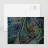 Wolf Spider Nebula Briefkaart (Voorkant / Achterkant)