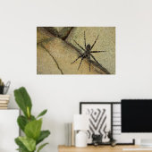 Wolf Spider Poster (Thuiskantoor)