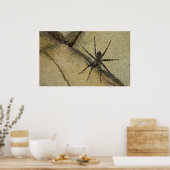 Wolf Spider Poster (Keuken)