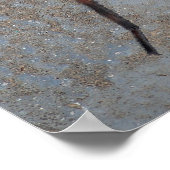 Wolf Spider poster (Hoek)