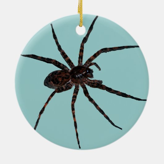 Wolf Spider-sierplant Keramisch Ornament (Achterkant)