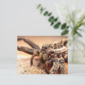 Wolf spin briefkaart (Staand voorkant)