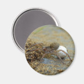 Wolf spin met ei zak magneet (Voorkant / Achterkant)