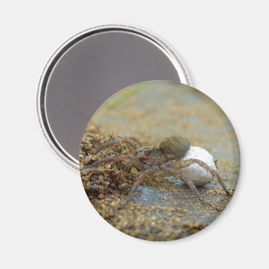 Wolf spin met ei zak magneet (Voorkant / Achterkant)