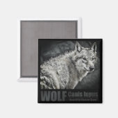 WOLF:Square Magnet (Voorkant / Achterkant)