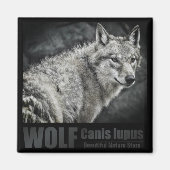 WOLF:Square Magnet (Voorkant)