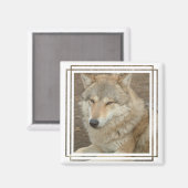 Wolf Square Magnet (Voorkant / Achterkant)