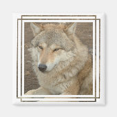 Wolf Square Magnet (Voorkant)