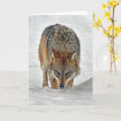 Wolf Stalking Kaart (Gele Bloem)