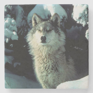 Wolf Stenen Onderzetter