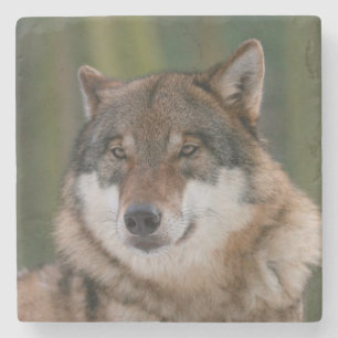 Wolf Stenen Onderzetter