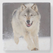 Wolf Stone Onderzetter (Voorkant)