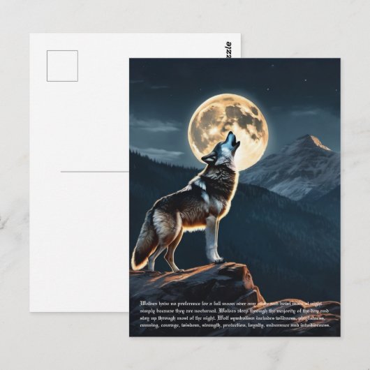Wolf symboliek briefkaart (Voorkant / Achterkant)
