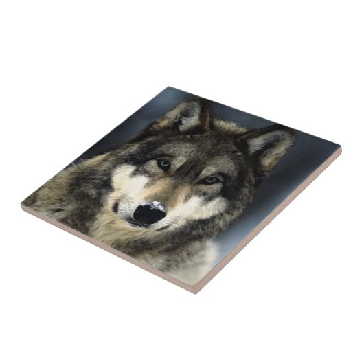 Wolf Tegeltje (Zijkant)