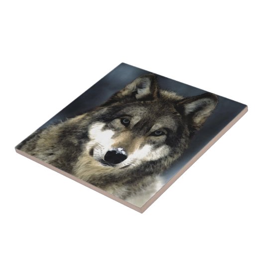 Wolf Tegeltje (Zijkant)